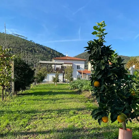 La Tenuta Di Eva * Pisa