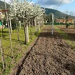 La Tenuta Di Eva 公寓