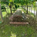La Tenuta Di Eva * 比萨