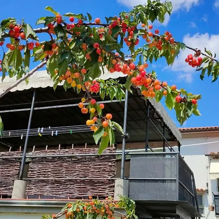 La Tenuta Di Eva