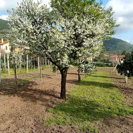 La Tenuta Di Eva Apartmán *