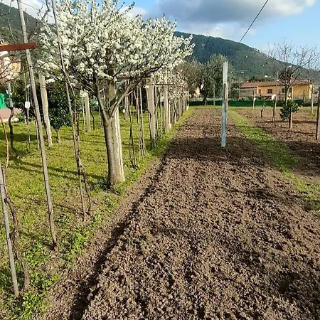 La Tenuta Di Eva Apartmán