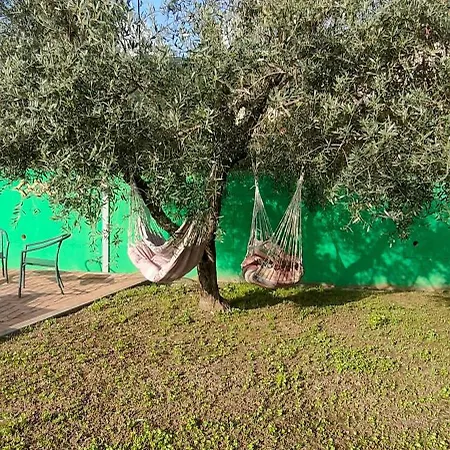 La Tenuta Di Eva Pisa