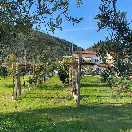 La Tenuta Di Eva * ピサ