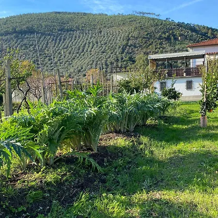 La Tenuta Di Eva * ピサ