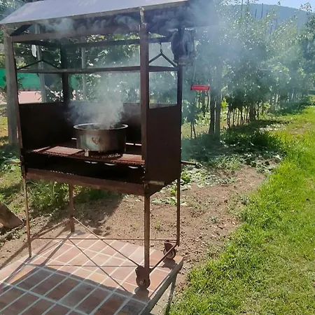 La Tenuta Di Eva Apartmán Pisa