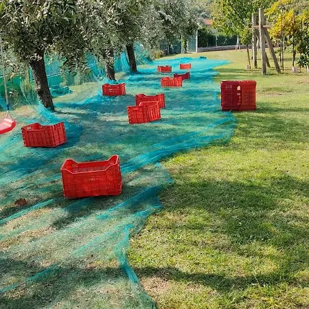 La Tenuta Di Eva
