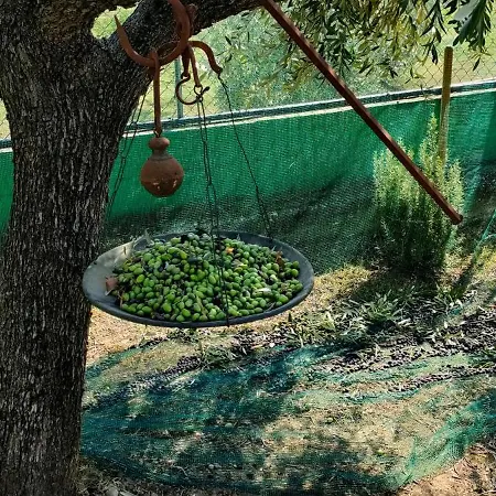 La Tenuta Di Eva