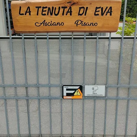 La Tenuta Di Eva Apartmán Pisa