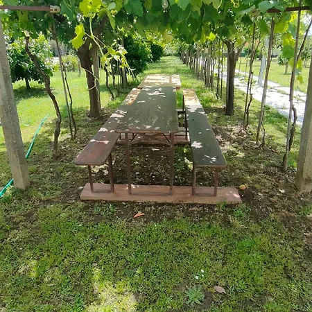 La Tenuta Di Eva * Pisa