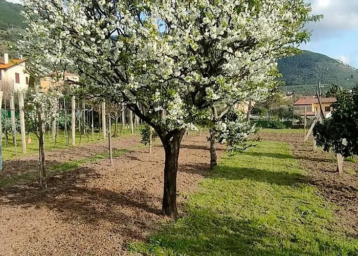 La Tenuta Di Eva アパート *