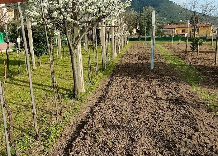 La Tenuta Di Eva アパート