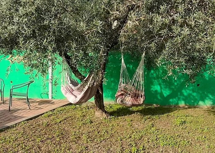 La Tenuta Di Eva ピサ