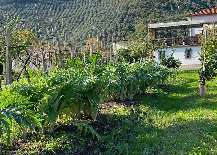 La Tenuta Di Eva * ピサ