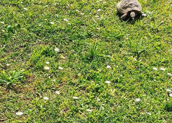 La Tenuta Di Eva ピサ