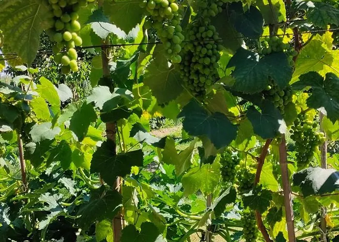 La Tenuta Di Eva * ピサ