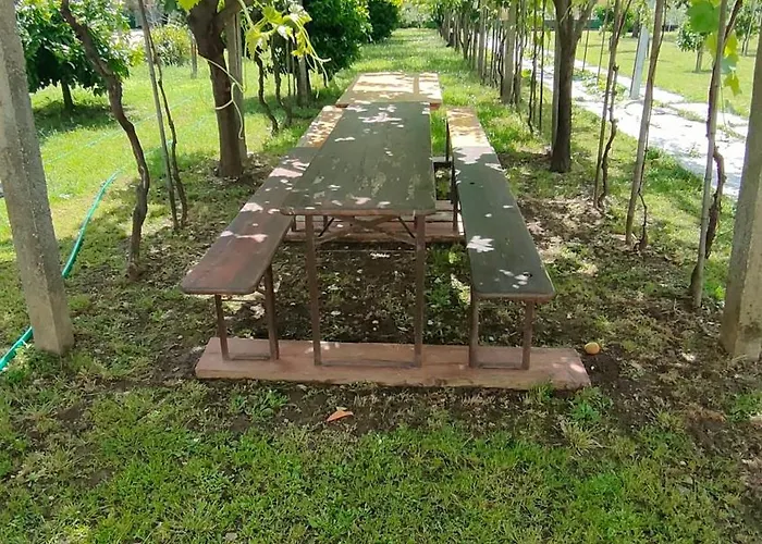 La Tenuta Di Eva * ピサ